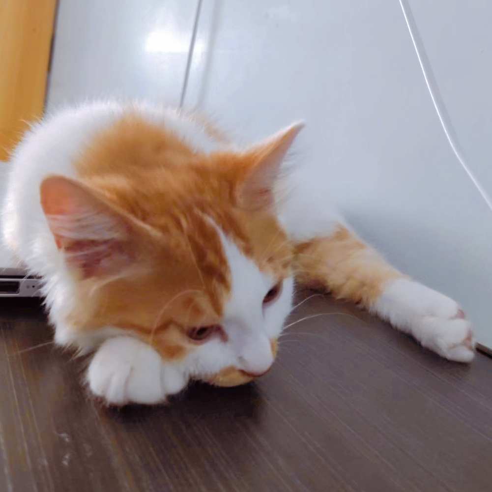 quartz任务调度器规则说明